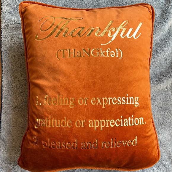 NWOT🌟THANKFUL 18 x 14” Burnt Orange Feather Inspirational Pillow - Picture 3 of 7